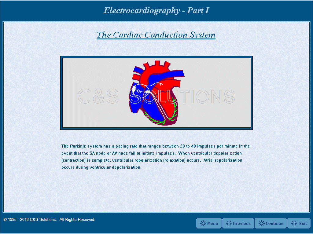 Electrocardiography Part I: Cardiac Electrophysiology & The Electrocardiogram The Cardiac Conduction System