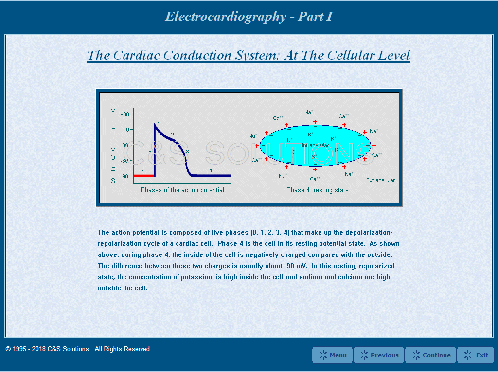 Electrocardiography Part I: Cardiac Electrophysiology & The Electrocardiogram The Action Potential